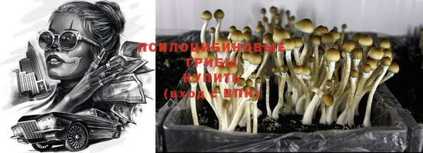 не бодяженный Баксан