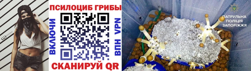 купить наркотики сайты  кракен онион  Галлюциногенные грибы Psilocybine cubensis  Нязепетровск 